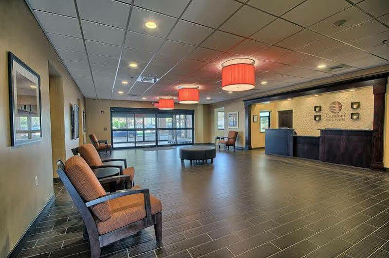 Comfort Inn & Suites Wadsworth Exteriör bild